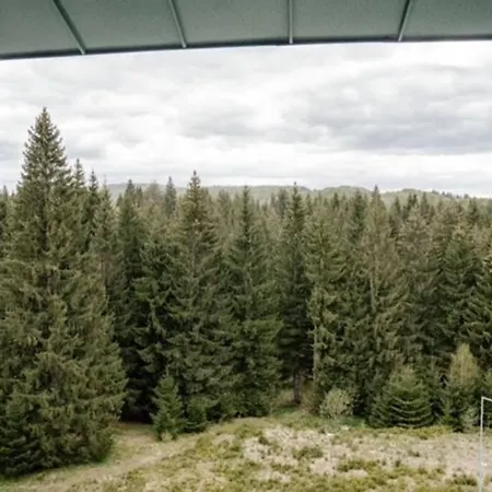 Apartment Silver Mountain, Poiana - Forest Crib Brasov